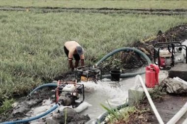 Dinas Pertanian Banten Siap Hadapi Musim Kemarau dengan 338 Unit Irigasi Perpompaan